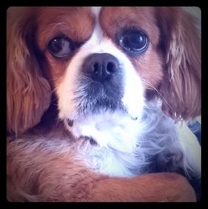 Meet your Posher, Gina